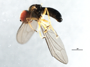  ( - 10BBCDIP-3416)  @12 [ ] CreativeCommons - Attribution (2011) CBG Photography Group Centre for Biodiversity Genomics