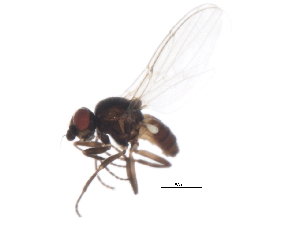  ( - 10BBCDIP-3149)  @12 [ ] CreativeCommons - Attribution (2010) CBG Photography Group Centre for Biodiversity Genomics