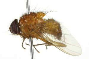  ( - 10BBCDIP-2834)  @13 [ ] CreativeCommons - Attribution (2010) CBG Photography Group Centre for Biodiversity Genomics