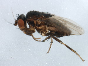  ( - BIOUG01835-A10)  @13 [ ] CreativeCommons - Attribution (2012) CBG Photography Group Centre for Biodiversity Genomics