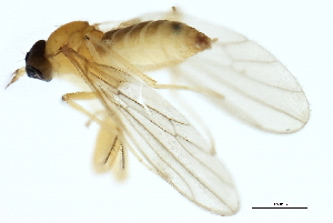  ( - 08BBDIP-2765)  @12 [ ] CreativeCommons - Attribution (2010) CBG Photography Group Centre for Biodiversity Genomics
