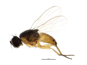  ( - BIOUG01242-B04)  @13 [ ] CreativeCommons - Attribution (2012) CBG Photography Group Centre for Biodiversity Genomics