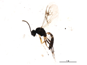  ( - 10BBHYM-0522)  @12 [ ] CreativeCommons - Attribution (2010) CBG Photography Group Centre for Biodiversity Genomics