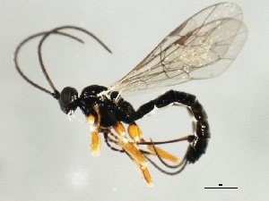  ( - 10BBCHY-1744)  @12 [ ] CreativeCommons - Attribution (2010) CBG Photography Group Centre for Biodiversity Genomics