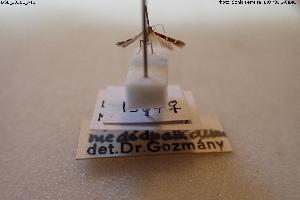  ( - BGE_00581_A12)  @11 [ ] Creative Commons Attribution NonCommercial ShareAlike (2024) (2024) Research Center in Biodiversity and Genetic Resources Research Center in Biodiversity and Genetic Resources