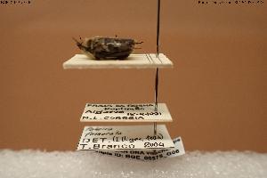  (Paleira - BGE_00575_G06)  @11 [ ] Creative Commons Attribution NonCommercial ShareAlike (2024) (2024) Research Center in Biodiversity and Genetic Resources Research Center in Biodiversity and Genetic Resources