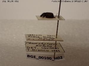  ( - BGE_00100_H02)  @11 [ ] Creative Commons Attribution NonCommercial ShareAlike (2023) (2023) Research Center in Biodiversity and Genetic Resources Research Center in Biodiversity and Genetic Resources