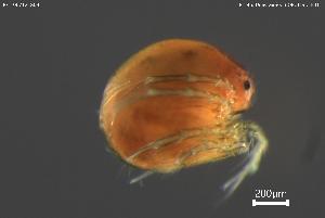  ( - BGE_00712_G08)  @11 [ ] Creative Commons Attribution NonCommercial ShareAlike (2023) (2025) Research Center in Biodiversity and Genetic Resources Research Center in Biodiversity and Genetic Resources