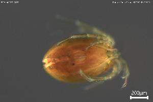  ( - BGE_00712_G08)  @11 [ ] Creative Commons Attribution NonCommercial ShareAlike (2023) (2025) Research Center in Biodiversity and Genetic Resources Research Center in Biodiversity and Genetic Resources