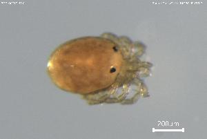  ( - BGE_00712_E10)  @11 [ ] Creative Commons Attribution NonCommercial ShareAlike (2023) (2025) Research Center in Biodiversity and Genetic Resources Research Center in Biodiversity and Genetic Resources