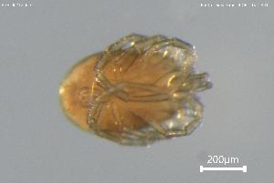  ( - BGE_00712_E10)  @11 [ ] Creative Commons Attribution NonCommercial ShareAlike (2023) (2025) Research Center in Biodiversity and Genetic Resources Research Center in Biodiversity and Genetic Resources