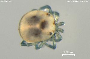  ( - BGE_00712_F01)  @11 [ ] Creative Commons Attribution NonCommercial ShareAlike (2023) (2025) Research Center in Biodiversity and Genetic Resources Research Center in Biodiversity and Genetic Resources