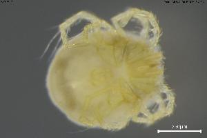  ( - BGE_00580_E06)  @11 [ ] Creative Commons Attribution NonCommercial ShareAlike (2023) (2024) Research Center in Biodiversity and Genetic Resources Research Center in Biodiversity and Genetic Resources