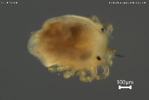  ( - BGE_00712_F08)  @11 [ ] Creative Commons Attribution NonCommercial ShareAlike (2023) (2025) Research Center in Biodiversity and Genetic Resources Research Center in Biodiversity and Genetic Resources