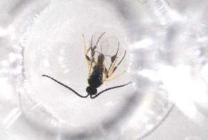  ( - 24BBHS23-C11)  @11 [ ] CreativeCommons - Attribution (2025) The University of Adelaide The University of Adelaide