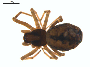  ( - BIOUG01628-E12)  @12 [ ] Copyright  G. Blagoev 2011 Unspecified