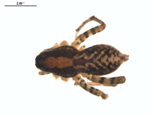  ( - BIOUG01635-E06)  @12 [ ] Copyright  G. Blagoev 2011 Unspecified