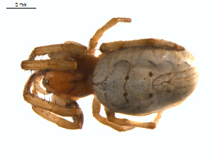  ( - BIOUG01961-A06)  @13 [ ] Copyright  G. Blagoev 2012 Unspecified