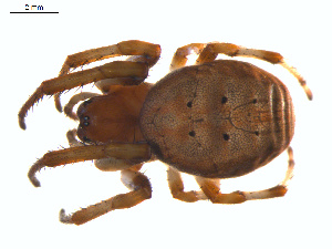  ( - BIOUG01961-D05)  @13 [ ] Copyright  G. Blagoev 2012 Unspecified