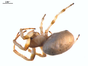  ( - BIOUG01961-E09)  @13 [ ] Copyright  G. Blagoev 2012 Unspecified