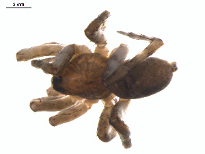  ( - BIOUG01963-E03)  @13 [ ] Copyright  G. Blagoev 2012 Unspecified