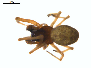  ( - BIOUG01636-E04)  @12 [ ] Copyright  G. Blagoev 2011 Unspecified