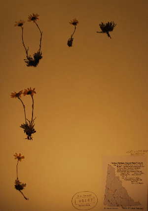  ( - BAB-5167)  @11 [ ] Unspecified (default): All Rights Reserved  Unspecified Unspecified