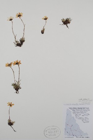  ( - BAB-5167)  @11 [ ] CreativeCommons - Attribution Share-Alike (2020) Bruce Bennett Research Collection of B. A. Bennett