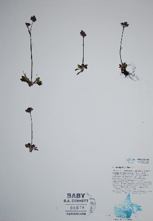  ( - CCDB-21230-A06)  @11 [ ] CreativeCommons - Attribution (2014) Unspecified Unspecified