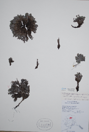  ( - CCDB-21230-G10)  @11 [ ] CreativeCommons - Attribution (2014) Unspecified Unspecified