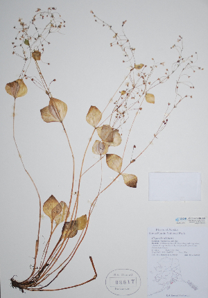  ( - CCDB-21230-H09)  @11 [ ] CreativeCommons - Attribution (2014) Unspecified Unspecified