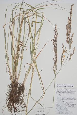  ( - CCDB-25898-D6)  @11 [ ] by (2022) Unspecified B.A. Bennett Herbarium (BABY)