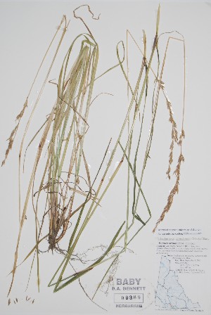  ( - CCDB-25898-D7)  @11 [ ] by (2022) Unspecified B.A. Bennett Herbarium (BABY)