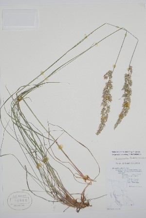  ( - CCDB-25898-E10)  @11 [ ] by (2022) Unspecified B.A. Bennett Herbarium (BABY)