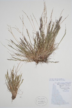  ( - CCDB-25898-H12)  @11 [ ] by (2022) Unspecified B.A. Bennett Herbarium (BABY)