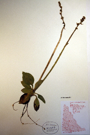  ( - CCDB-18341-D11)  @11 [ ] CreativeCommons - Attribution Non-Commercial Share-Alike (2012) CBG Photography Group Unspecified