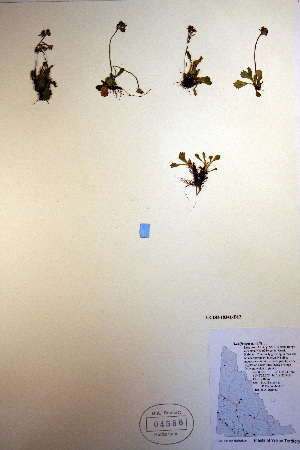  ( - CCDB-18341-D12)  @11 [ ] CreativeCommons - Attribution Non-Commercial Share-Alike (2012) CBG Photography Group Unspecified