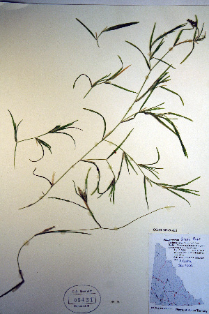  ( - CCDB-18343-A11)  @11 [ ] CreativeCommons - Attribution Non-Commercial Share-Alike (2012) CBG Photography Group Unspecified