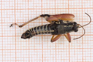  ( - RM3_1286)  @11 [ ] (by-nc-nd) (2025) Unspecified Università degli Studi Roma Tre