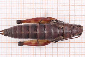  ( - RM3_1287)  @11 [ ] (by-nc-nd) (2025) Unspecified Università degli Studi Roma Tre