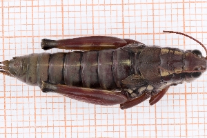  ( - RM3_1288)  @11 [ ] (by-nc-nd) (2025) Unspecified Università degli Studi Roma Tre