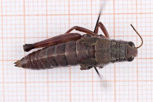  ( - RM3_1580)  @11 [ ] (by-nc-nd) (2025) Unspecified Università degli Studi Roma Tre