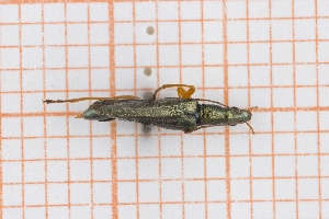  ( - RM3_435)  @11 [ ] (by-nc-nd) (2025) Unspecified Universit&agrave; degli Studi Roma Tre