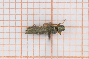  ( - RM3_437)  @11 [ ] (by-nc-nd) (2025) Unspecified Universit&agrave; degli Studi Roma Tre