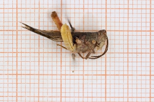  ( - RM3_1186)  @11 [ ] (by-nc-nd) (2025) Unspecified Universit&agrave; degli Studi Roma Tre