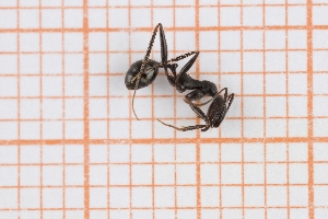  ( - RM3_1319)  @11 [ ] (by-nc-nd) (2025) Unspecified Universit&agrave; degli Studi Roma Tre