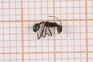  ( - RM3_1321)  @11 [ ] (by-nc-nd) (2025) Unspecified Universit&agrave; degli Studi Roma Tre