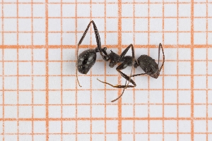  ( - RM3_1322)  @11 [ ] (by-nc-nd) (2025) Unspecified Universit&agrave; degli Studi Roma Tre