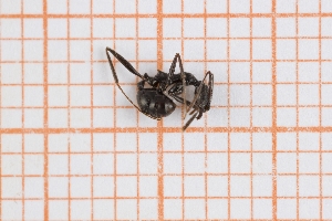  ( - RM3_1323)  @11 [ ] (by-nc-nd) (2025) Unspecified Universit&agrave; degli Studi Roma Tre