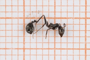  ( - RM3_1325)  @11 [ ] (by-nc-nd) (2025) Unspecified Universit&agrave; degli Studi Roma Tre